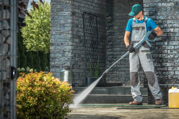 Spring Cleaning in Ben Lomond, CA
